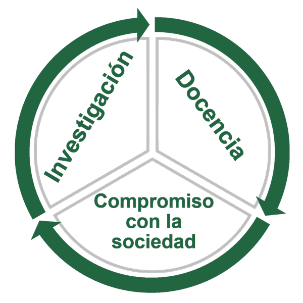 entero-verde-y-gris.png