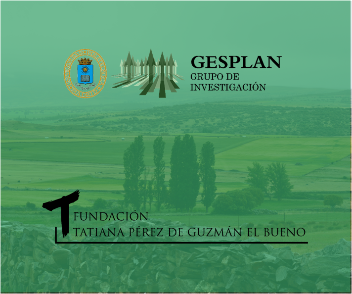 Foundation Tatiana Pérez de Guzmán el Bueno