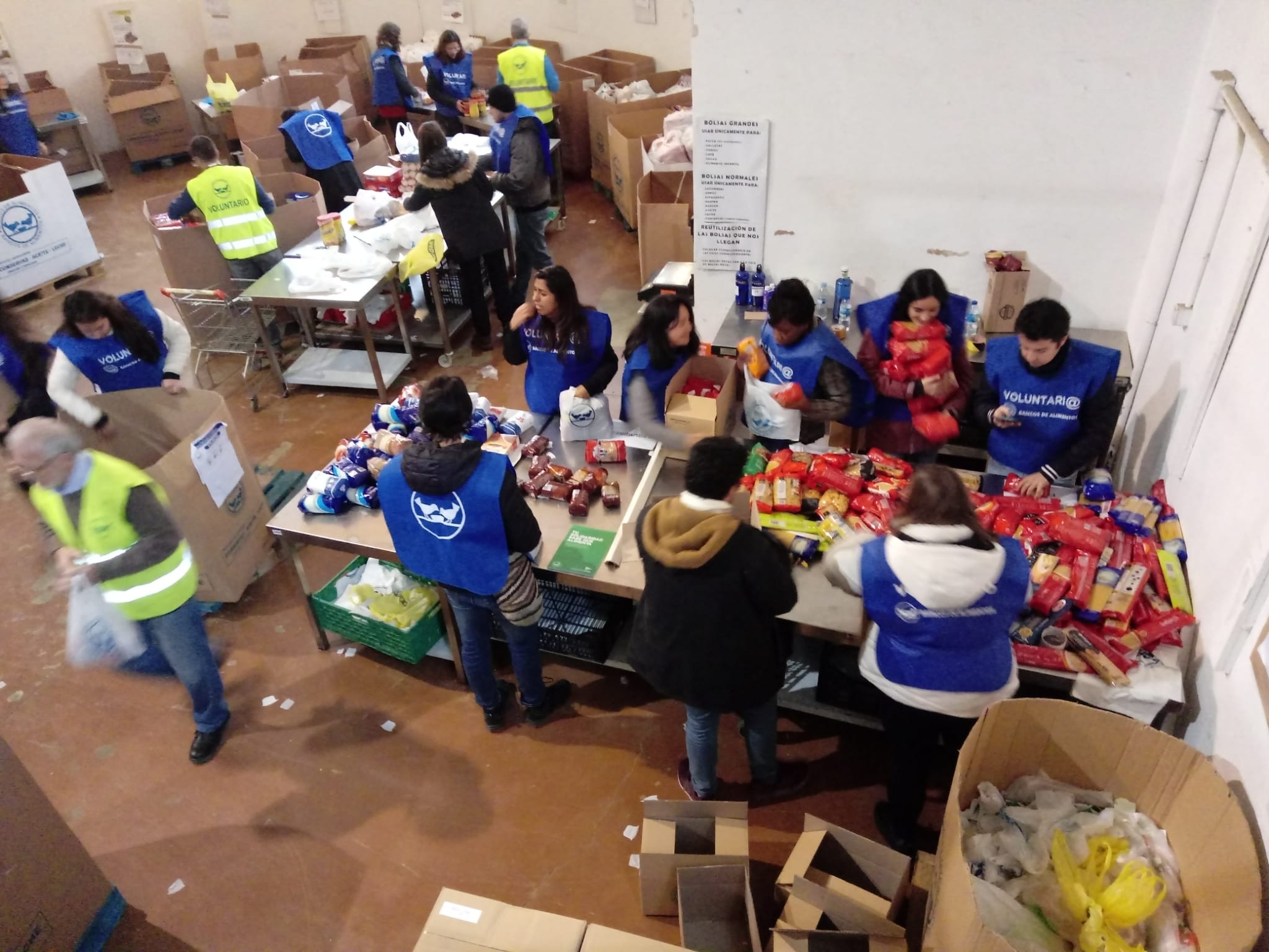 Los alumnos participando en la Gran Recogida Los alumnos participando en la Gran Recogida