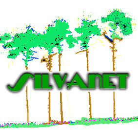 Grupo de investigación SILVANET (ETSIMFMN) Grupo de investigación SILVANET (ETSIMFMN)