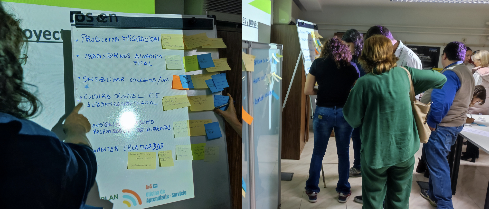 Evaluación de los proyectos y de los resultados globales Evaluación de los proyectos y de los resultados globales