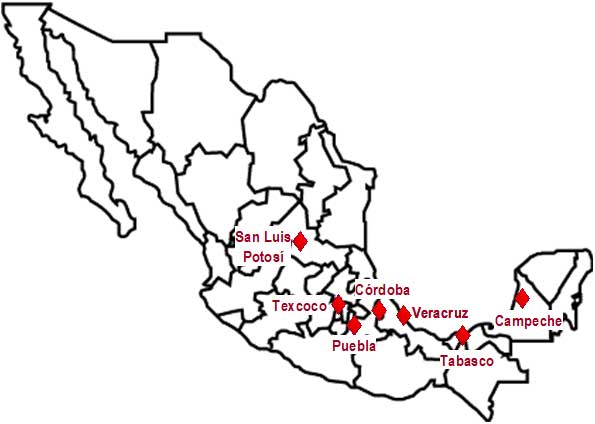 Proyecto Lider
