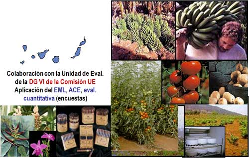 proyecto.poseican.jpg proyecto.poseican.jpg