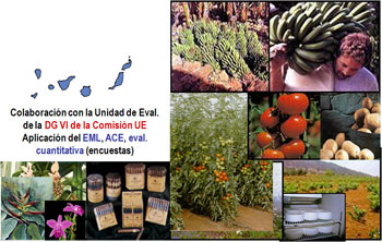 Proyecto Poseican